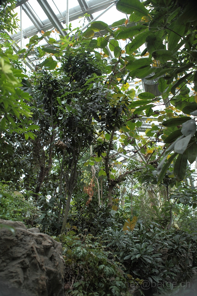 EOS 5D Mark II16_04_20134976.JPG